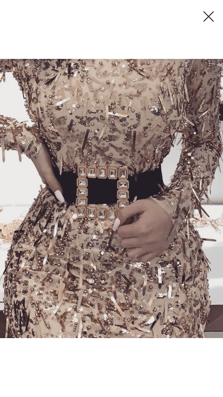 Royce Rhinestone Belt - Hot L.A. Fashion 