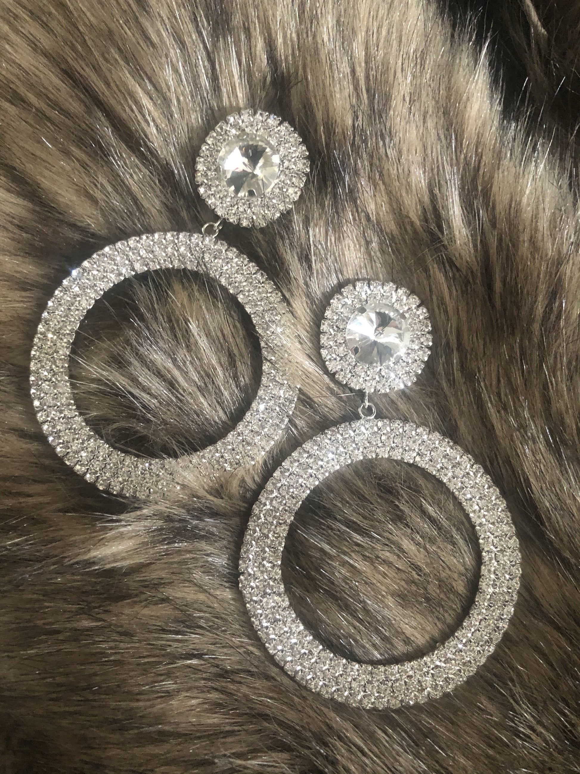 Lush Rhinestone Earrings - Silver - Hot L.A. Fashion 