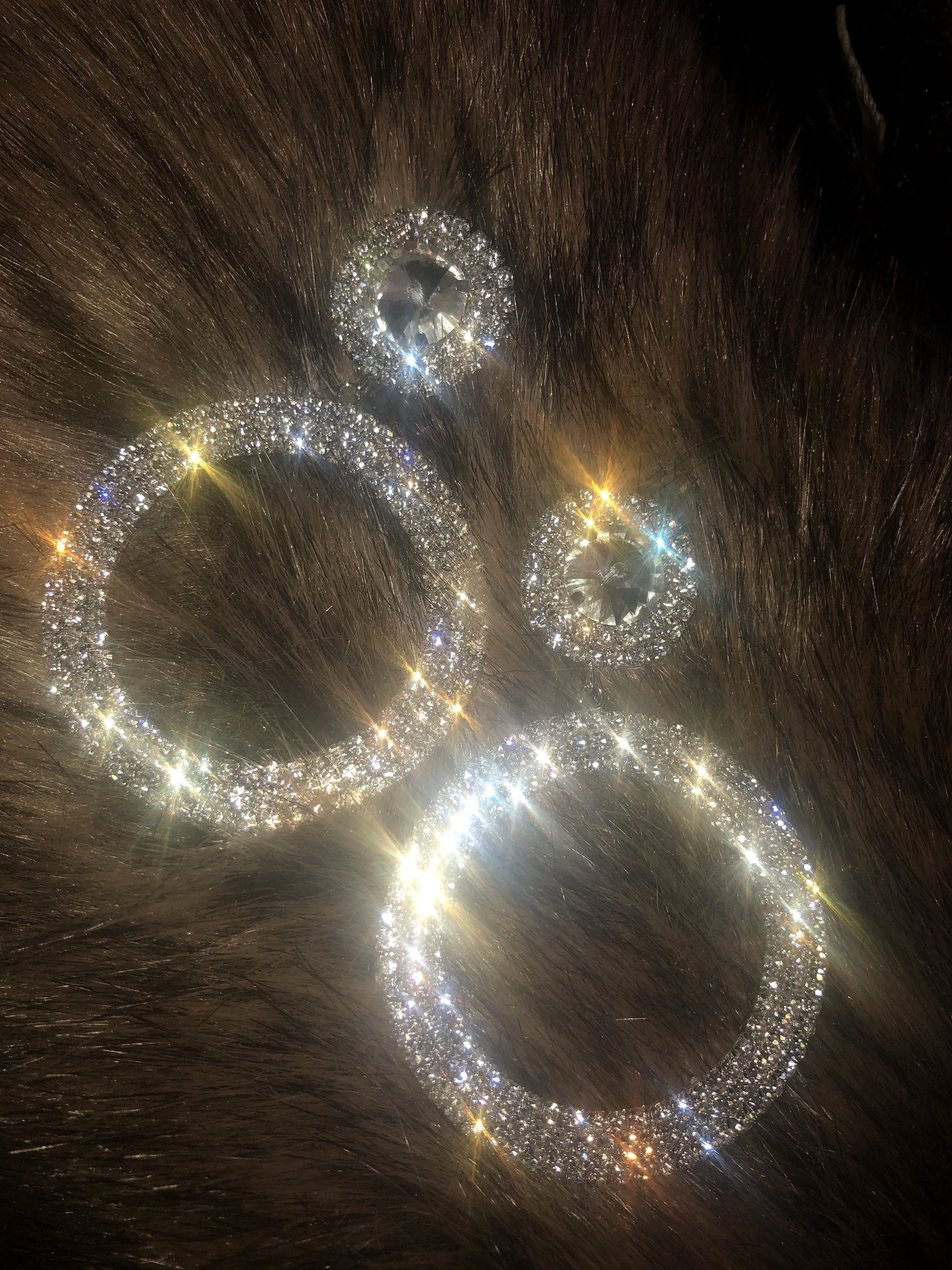 Lush Rhinestone Earrings - Silver - Hot L.A. Fashion 